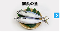 前浜魚